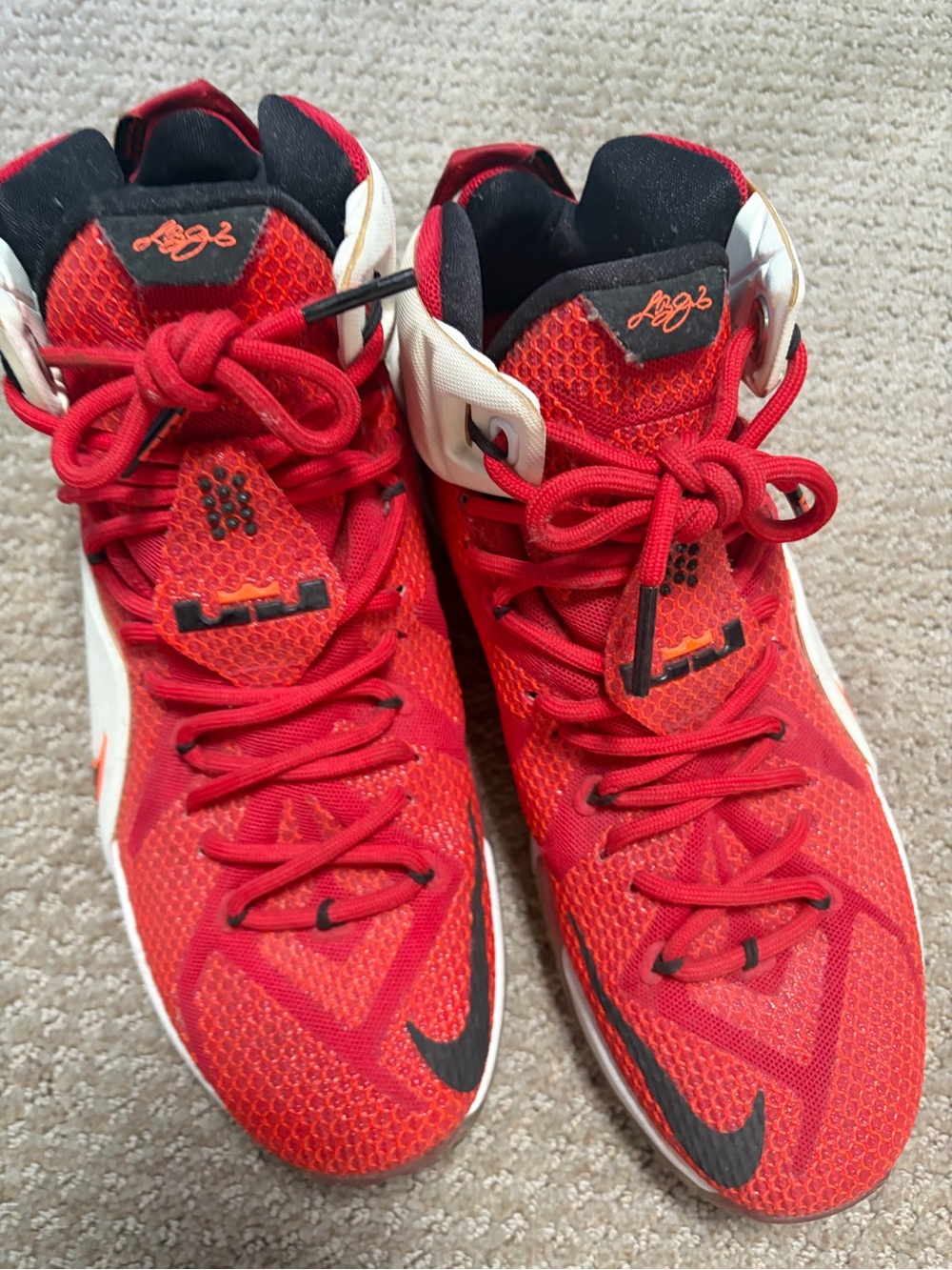 LeBron Signature Style- Heart of Lyon Nike
